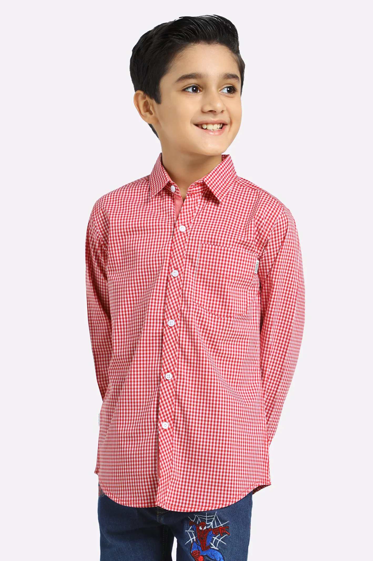 Dark Red Mini Check Casual Shirt